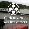 Live Cam